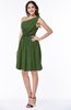 Modern Zipper Chiffon Knee Length Sash Plus Size Bridesmaid Dresses