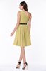 Modern Zipper Chiffon Knee Length Sash Plus Size Bridesmaid Dresses
