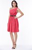 Modern Zipper Chiffon Knee Length Sash Plus Size Bridesmaid Dresses