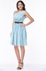 Modern Zipper Chiffon Knee Length Sash Plus Size Bridesmaid Dresses