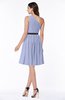 Modern Zipper Chiffon Knee Length Sash Plus Size Bridesmaid Dresses
