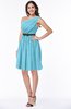 Modern Zipper Chiffon Knee Length Sash Plus Size Bridesmaid Dresses