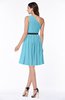 Modern Zipper Chiffon Knee Length Sash Plus Size Bridesmaid Dresses