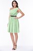 Modern Zipper Chiffon Knee Length Sash Plus Size Bridesmaid Dresses