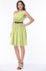 Modern Zipper Chiffon Knee Length Sash Plus Size Bridesmaid Dresses