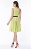 Modern Zipper Chiffon Knee Length Sash Plus Size Bridesmaid Dresses