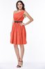 Modern Zipper Chiffon Knee Length Sash Plus Size Bridesmaid Dresses