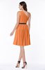 Modern Zipper Chiffon Knee Length Sash Plus Size Bridesmaid Dresses