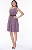 Modern Zipper Chiffon Knee Length Sash Plus Size Bridesmaid Dresses