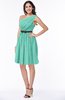Modern Zipper Chiffon Knee Length Sash Plus Size Bridesmaid Dresses