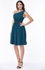 Modern Zipper Chiffon Knee Length Sash Plus Size Bridesmaid Dresses