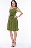 Modern Zipper Chiffon Knee Length Sash Plus Size Bridesmaid Dresses