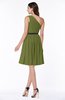 Modern Zipper Chiffon Knee Length Sash Plus Size Bridesmaid Dresses
