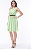 Modern Zipper Chiffon Knee Length Sash Plus Size Bridesmaid Dresses