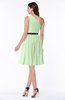 Modern Zipper Chiffon Knee Length Sash Plus Size Bridesmaid Dresses