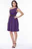 Modern Zipper Chiffon Knee Length Sash Plus Size Bridesmaid Dresses