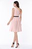 Modern Zipper Chiffon Knee Length Sash Plus Size Bridesmaid Dresses