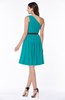 Modern Zipper Chiffon Knee Length Sash Plus Size Bridesmaid Dresses