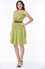 Modern Zipper Chiffon Knee Length Sash Plus Size Bridesmaid Dresses