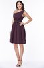 Modern Zipper Chiffon Knee Length Sash Plus Size Bridesmaid Dresses