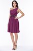 Modern Zipper Chiffon Knee Length Sash Plus Size Bridesmaid Dresses