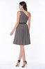 Modern Zipper Chiffon Knee Length Sash Plus Size Bridesmaid Dresses