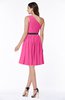 Modern Zipper Chiffon Knee Length Sash Plus Size Bridesmaid Dresses
