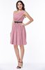 Modern Zipper Chiffon Knee Length Sash Plus Size Bridesmaid Dresses