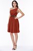 Modern Zipper Chiffon Knee Length Sash Plus Size Bridesmaid Dresses