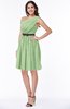 Modern Zipper Chiffon Knee Length Sash Plus Size Bridesmaid Dresses