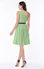 Modern Zipper Chiffon Knee Length Sash Plus Size Bridesmaid Dresses