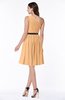 Modern Zipper Chiffon Knee Length Sash Plus Size Bridesmaid Dresses