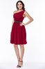 Modern Zipper Chiffon Knee Length Sash Plus Size Bridesmaid Dresses