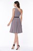 Modern Zipper Chiffon Knee Length Sash Plus Size Bridesmaid Dresses