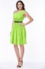 Modern Zipper Chiffon Knee Length Sash Plus Size Bridesmaid Dresses