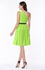 Modern Zipper Chiffon Knee Length Sash Plus Size Bridesmaid Dresses