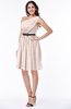 Modern Zipper Chiffon Knee Length Sash Plus Size Bridesmaid Dresses