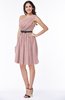 Modern Zipper Chiffon Knee Length Sash Plus Size Bridesmaid Dresses