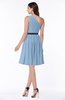 Modern Zipper Chiffon Knee Length Sash Plus Size Bridesmaid Dresses