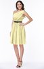 Modern Zipper Chiffon Knee Length Sash Plus Size Bridesmaid Dresses