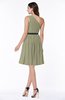 Modern Zipper Chiffon Knee Length Sash Plus Size Bridesmaid Dresses