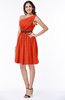 Modern Zipper Chiffon Knee Length Sash Plus Size Bridesmaid Dresses