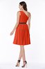 Modern Zipper Chiffon Knee Length Sash Plus Size Bridesmaid Dresses