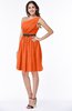 Modern Zipper Chiffon Knee Length Sash Plus Size Bridesmaid Dresses