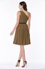 Modern Zipper Chiffon Knee Length Sash Plus Size Bridesmaid Dresses