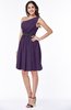 Modern Zipper Chiffon Knee Length Sash Plus Size Bridesmaid Dresses