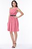 Modern Zipper Chiffon Knee Length Sash Plus Size Bridesmaid Dresses