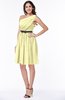 Modern Zipper Chiffon Knee Length Sash Plus Size Bridesmaid Dresses