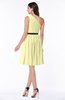 Modern Zipper Chiffon Knee Length Sash Plus Size Bridesmaid Dresses