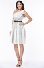 Modern Zipper Chiffon Knee Length Sash Plus Size Bridesmaid Dresses